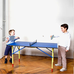 mesa de ping-pong de interior