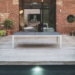 mesa de ping-pong de interior