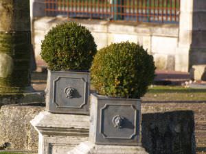 jardinera de piedra