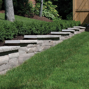 remate de pared para valla de jardín