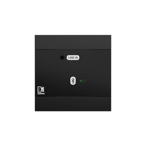 módulo de entrada audio multiroom