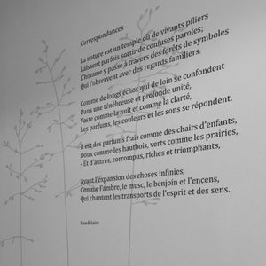 adhesivo de pared texto