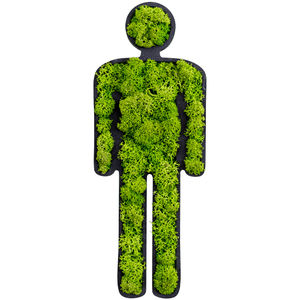 marco vegetal musgo