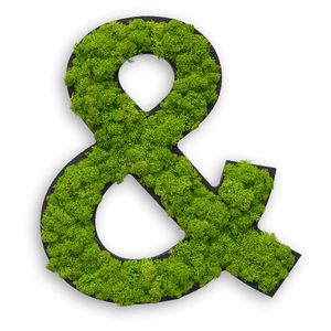 marco vegetal musgo