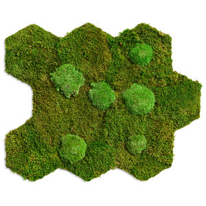 marco vegetal estabilizado