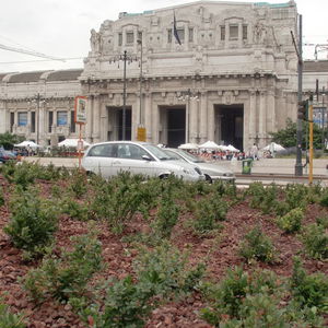 grava de piedra volcánica