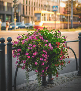 jardinera de polietileno