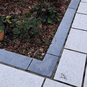 borde de jardín
