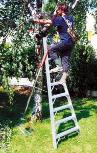 escalera elevada para la poda y recolección de fruta