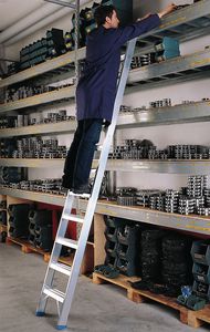 escalera profesional de trabajo