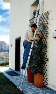 escalera profesional de trabajo