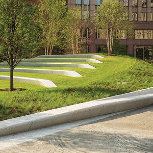 borde de jardín