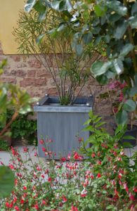 macetero para plantas grandes de zinc