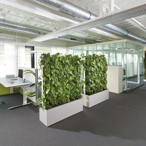muro vegetal de plantas naturales