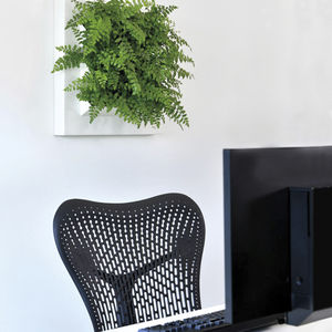 marco vegetal de plantas naturales