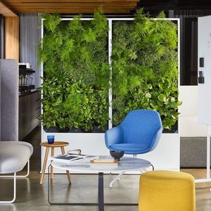 marco vegetal de plantas naturales