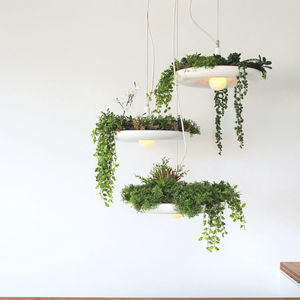 downlight suspendido