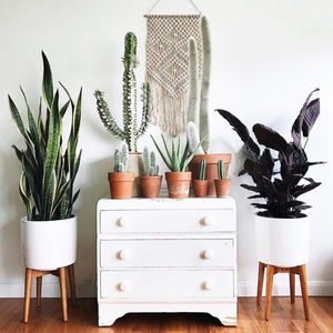 planta ornamental sintética