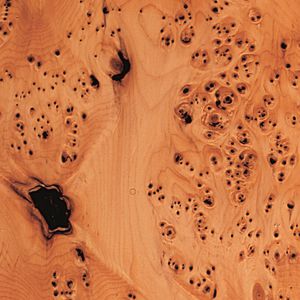 enchapado de madera