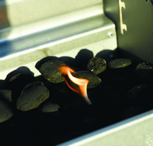 barbacoa de carbón