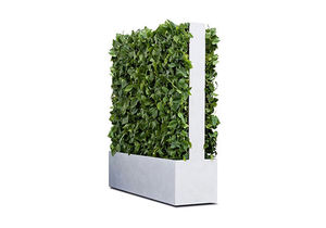 muro vegetal de interior