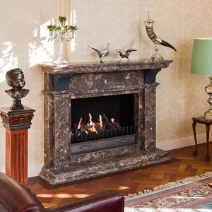 chimenea de gas