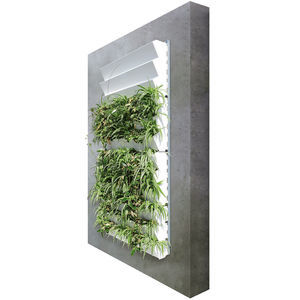 muro vegetal estabilizado