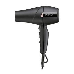secador de pelo para peluquería