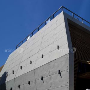 revestimiento de fachada de hormigón / texturado / de paneles / aspecto hormigón