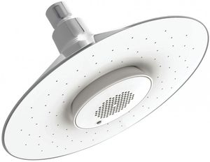 rociador de ducha de pared