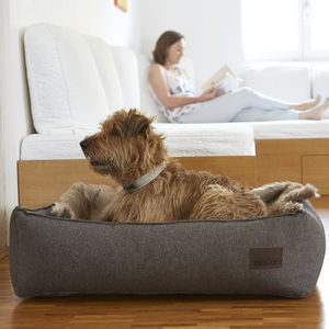 cama para perros de algodón