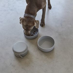 cuenco para perro de poliuretano