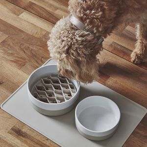 cuenco para perro de silicona