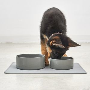 cuenco para perro de porcelana