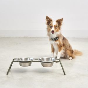 cuenco para perro de metal
