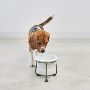 cuenco para perro de silicona
