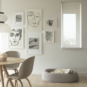 cama para perros de tejido