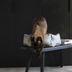 cama para gatos de tejido