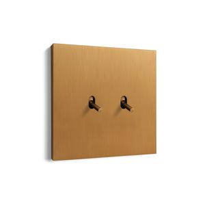 interruptor de palanca