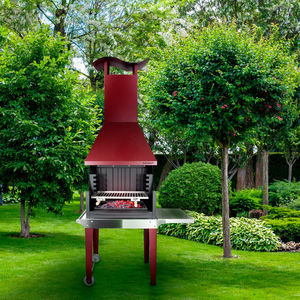 barbacoa de carbón