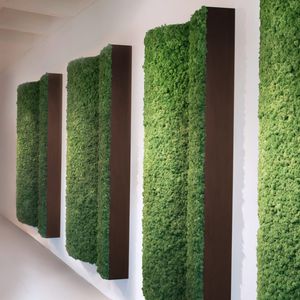 muro vegetal estabilizado