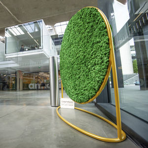 marco vegetal estabilizado