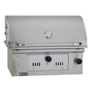 barbacoa de carbón