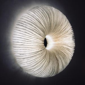 aplique contemporáneo
