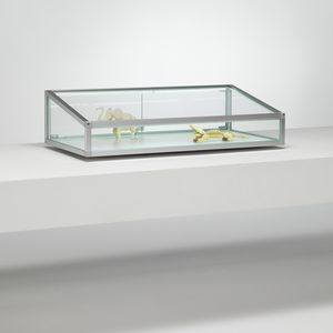 vitrina contemporánea