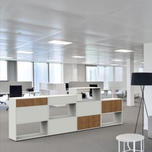 armario de oficina bajo