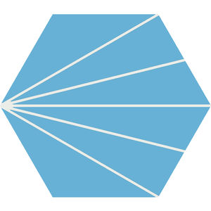 baldosas hidráulicas hexagonales