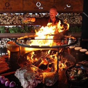 rejilla barbacoa