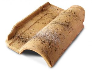 teja portuguesa