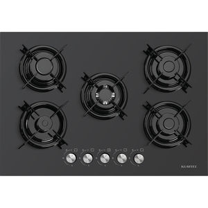 placa de cocina de gas